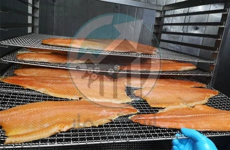 دراسة جدوى مشروع مصنع انتاج السالمون المدخن