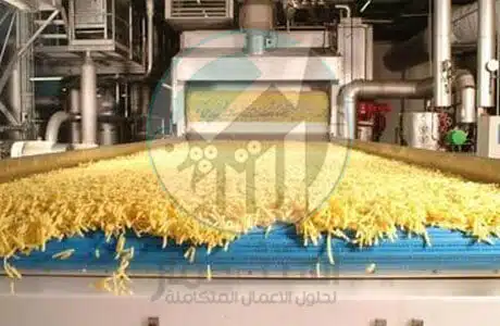 دراسة الجدوى الاقتصادية لمشروع مصنع انتاج البطاطس المجمدة