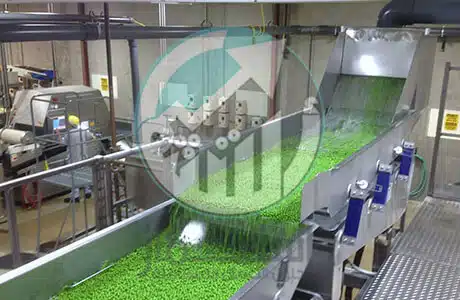 دراسة الجدوى الاقتصادية لمشروع مصنع انتاج الخضروات المجمدة