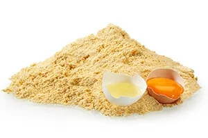 دراسة جدوى مصنع انتاج البيض المجفف