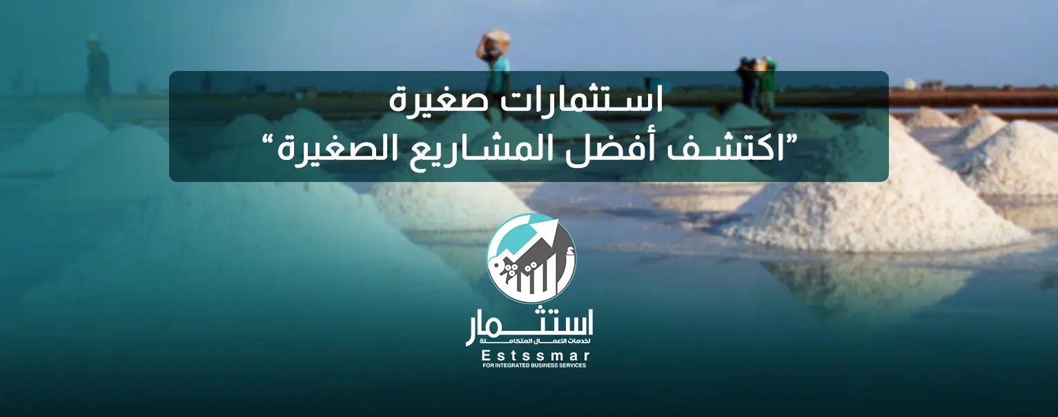 أفضل المشاريع الصغيرة